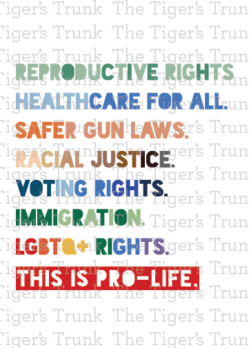 Pride card listing inclusive values with the phrase "This is Pro-Life," rainbow design for LGBTQ+ and social justice support