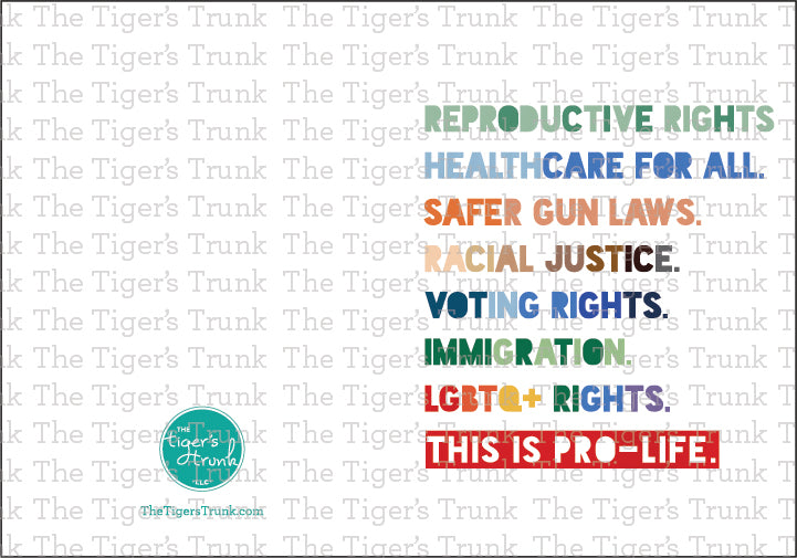 Pride card listing inclusive values with the phrase "This is Pro-Life," rainbow design for LGBTQ+ and social justice support