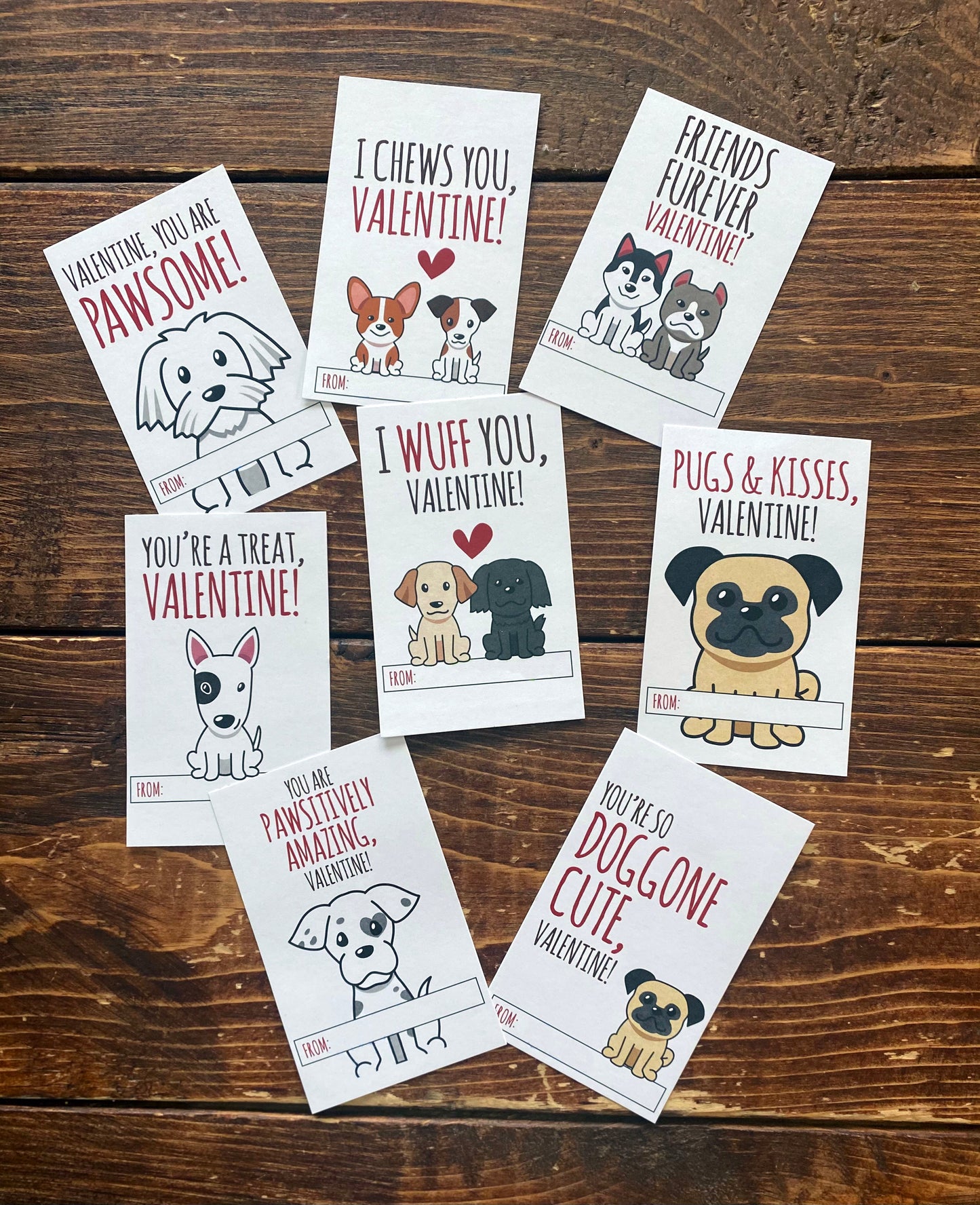 So Doggone Cute Valentine cards featuring adorable puppies, perfect for classroom exchanges and Valentine’s celebrations.