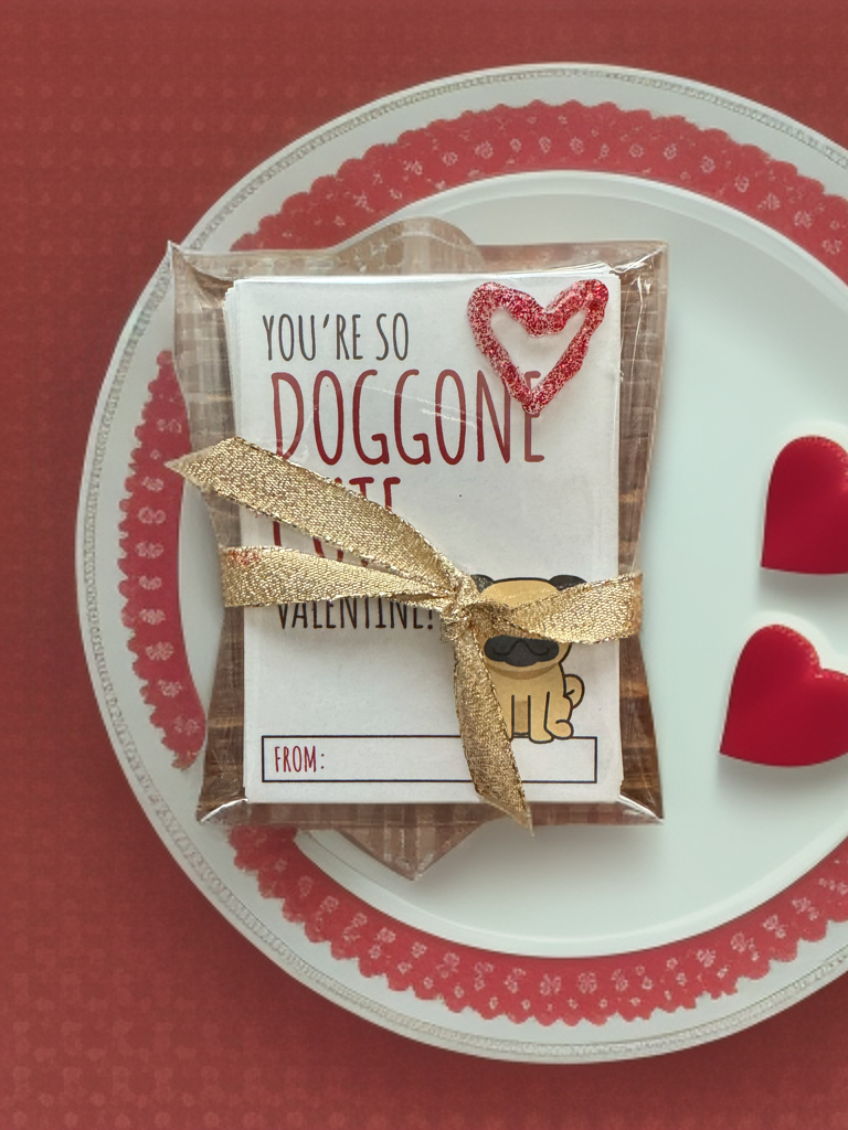 So Doggone Cute Valentine cards featuring adorable puppies, perfect for classroom exchanges and Valentine’s celebrations.