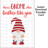 Siblings Day Card | Birthday Card | There's Gnome Other Brother Like You | Instant Download | Printable Card