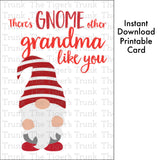 Grandparent's Day Card | There's Gnome Other Grandma Like You | Instant Download | Printable Card