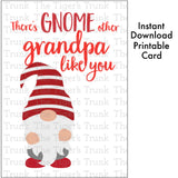 Grandparent's Day Card | There's Gnome Other Grandpa Like You | Instant Download | Printable Card