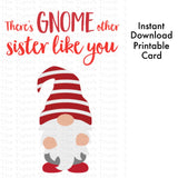 Siblings Day Card | Birthday Card | There's Gnome Other Sister Like You | Instant Download | Printable Card