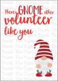 Volunteer Appreciation Week Card | There's Gnome Other Volunteer Like You | Instant Download | Printable Card