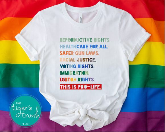 Human Rights Shirt | LGBTQ+ Rights Shirt | This Is Pro-Life | Short-Sleeve Shirt