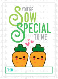 You're Sow Special to Me printable Valentine card