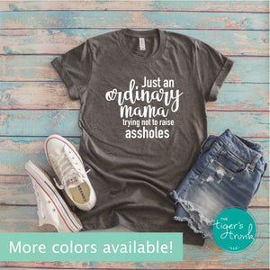 Just an Ordinary Mama Trying not to Raise Assholes tee