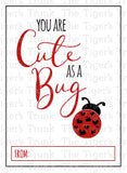 You Are Cute as a Bug printable Valentine Card