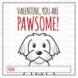 Valentine You Are Pawsome printable Valentine cards