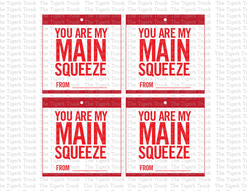 You Are My Main Squeeze Printable Valentine Tags