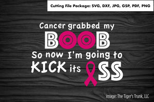 Cutting File Package | Breast Cancer Cutting Files | Cancer Grabbed My Boob | Instant Download