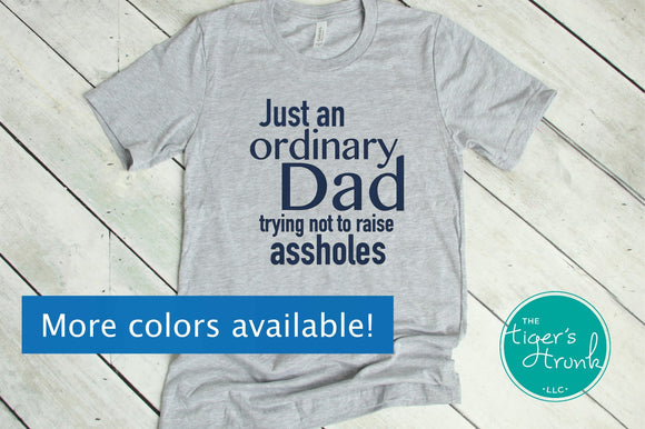 Just an Ordinary Dad Trying Not to Raise Assholes shirt