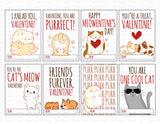 Kitty Cat Valentine Cards