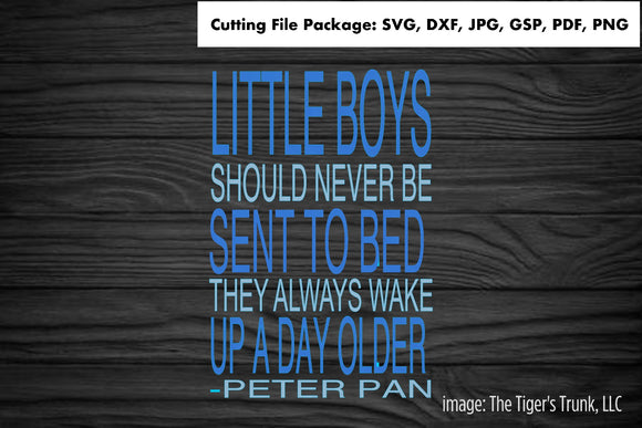 Cutting File Package | Little Boys Should Never Be Sent to Bed | Instant Download
