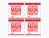 You Are My Main Squeeze Printable Valentine Tags