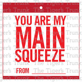 You Are My Main Squeeze Printable Valentine Tag
