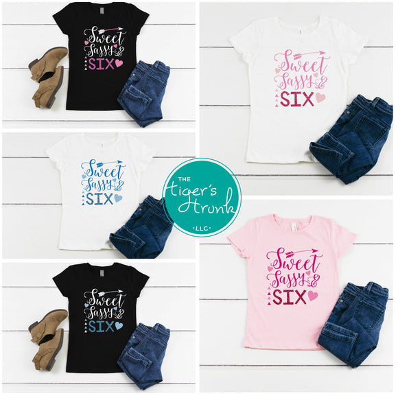 Sweet, Sassy, and Six Birthday shirts