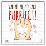 Kitty Cat Instant Download Printable Valentine Tags