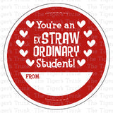 You're An ExSTRAWordinary Student | Instant Download | Printable Valentine Circle Tags