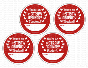 You're An ExSTRAWordinary Student | Instant Download | Printable Valentine Circle Tags